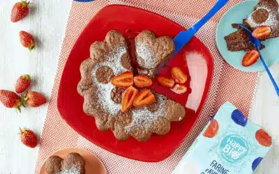 Farine d'avoine complète Happy Bio, fondant au chocolat sans matière grasse