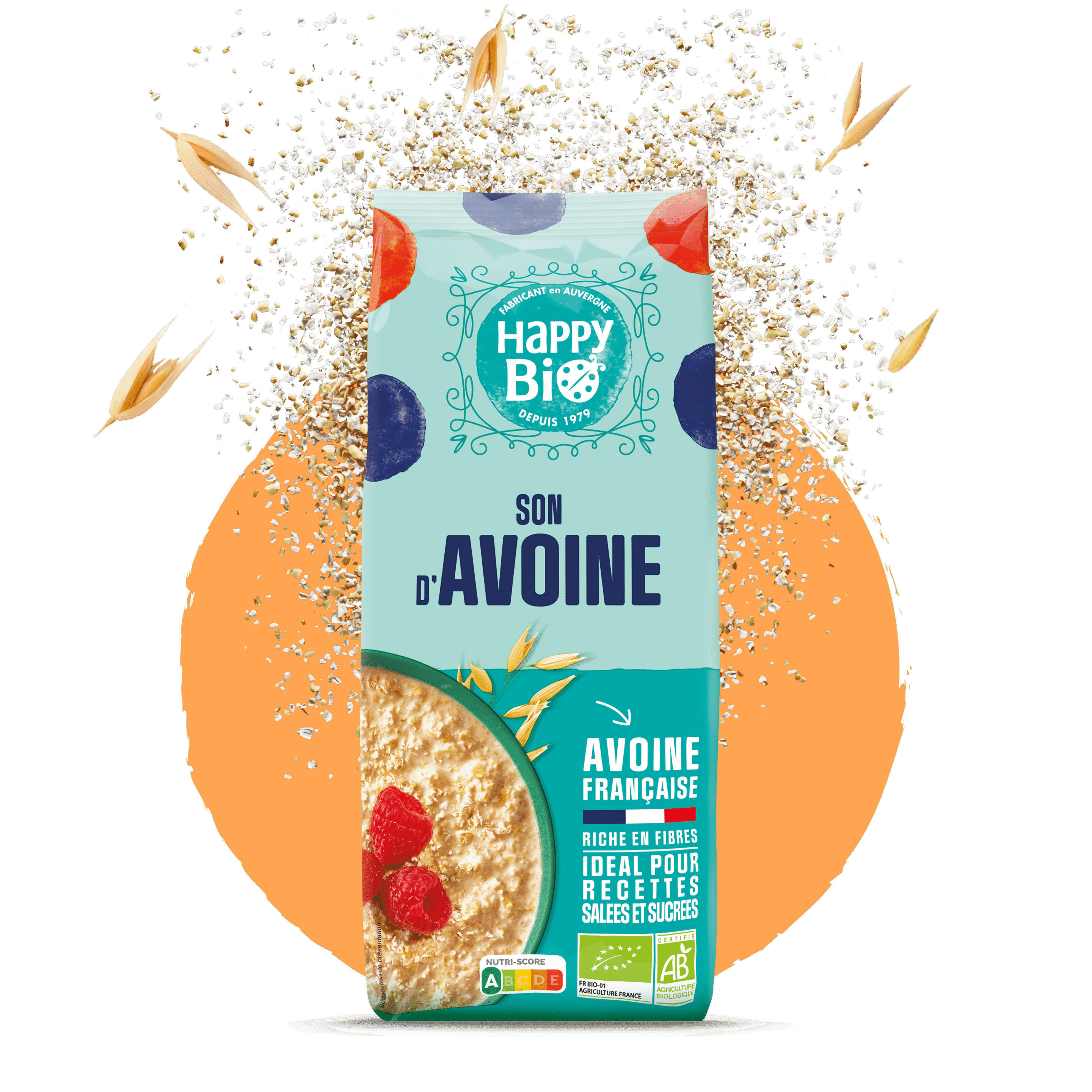 Flocons son d'avoine bio