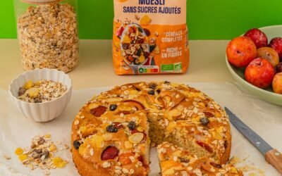 Gâteau aux prunes Happy Bio